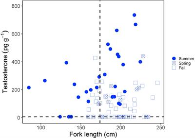 Using reproductive hormones extracted from archived muscle tissue to assess maturity and reproductive status in porbeagles Lamna nasus
